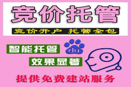 成功案例揭秘：SEM托管代运营的五大优势